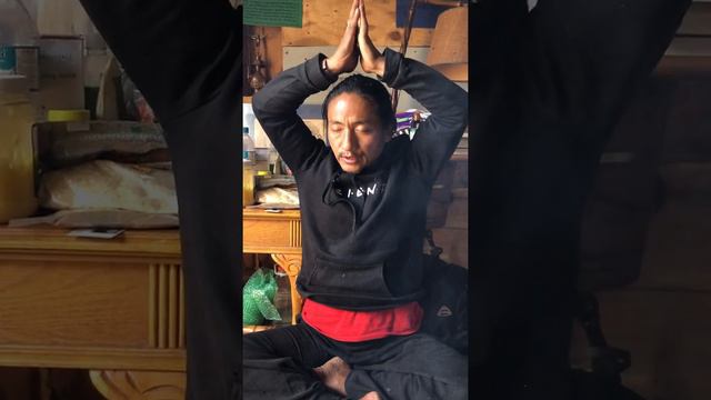 MANTRA TARA VERDE CON LAMA NORBU смотреть онлайн