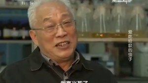 Разведение личинок черной львинки в Китае промышленным способом