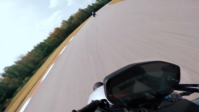 Ducati Monster 797 (A2) TRACKDAY PURE SOUND смотреть онлайн