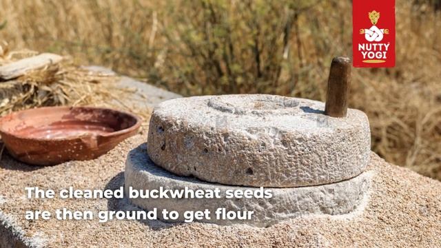 Buckwheat Flour Processing Video смотреть онлайн