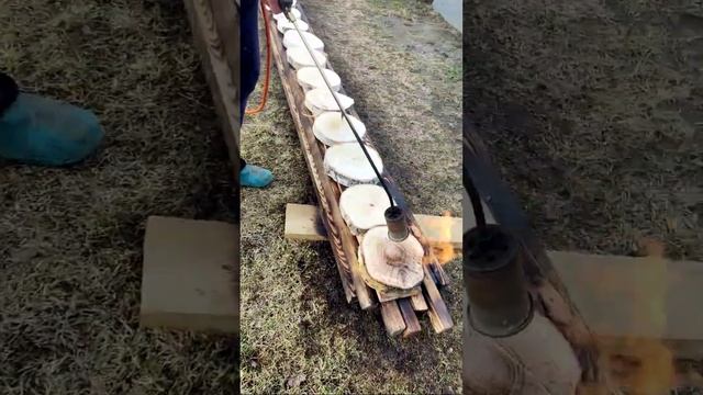 Как обжечь круглые срезы дерева ? #shorts смотреть онлайн