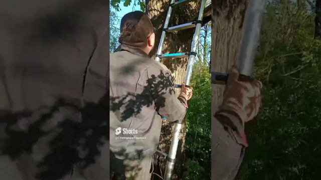 весна 2023г. установка ловушек для пчёл..mp4 смотреть онлайн