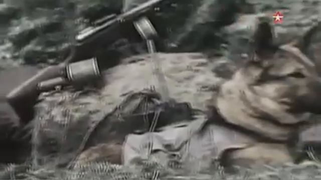 Джульбарс смотреть онлайн