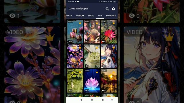 lotus wallpaper #lotus смотреть онлайн