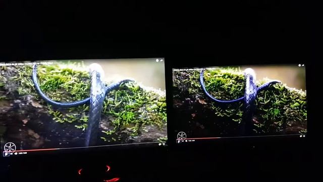 Asus PG279Q vs EIZO FS2333 part 2 смотреть онлайн