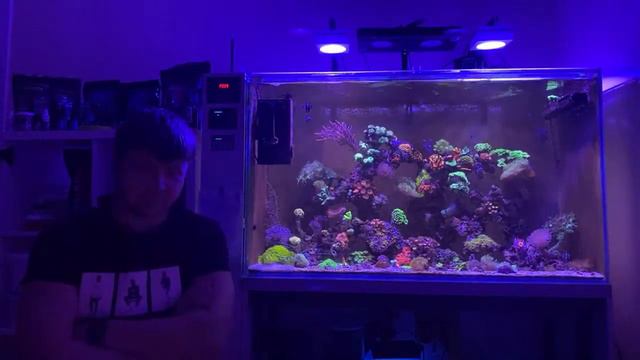 Морской аквариум смотреть онлайн