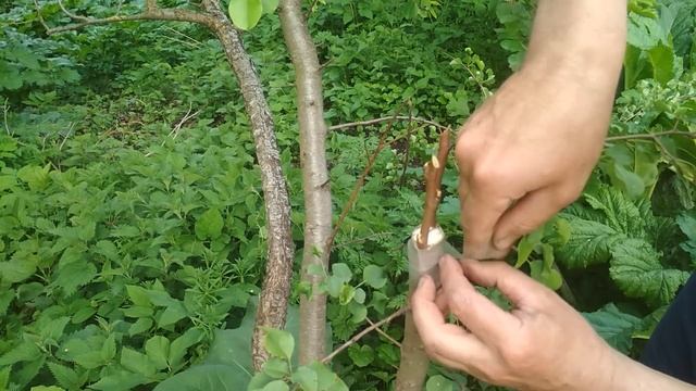 Стройка Глазами Архитектора