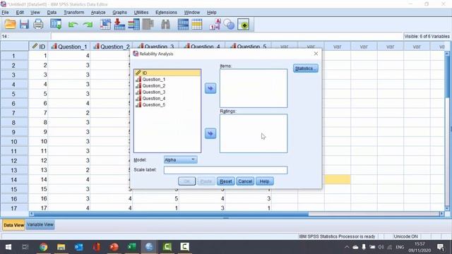 How To... Calculate Cronbach's Alpha in SPSS смотреть онлайн
