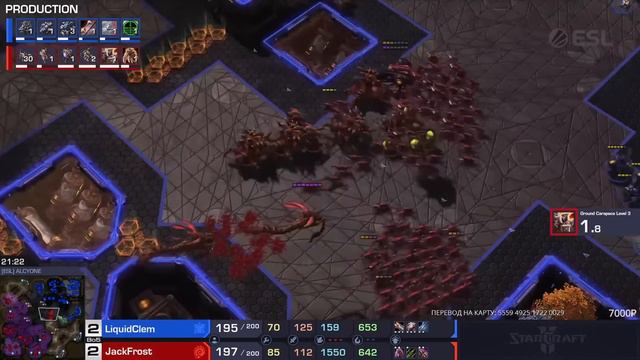 Must see с kaby | Выпуск №1 '2024 | Лучшие матчи в StarCraft II смотреть онлайн