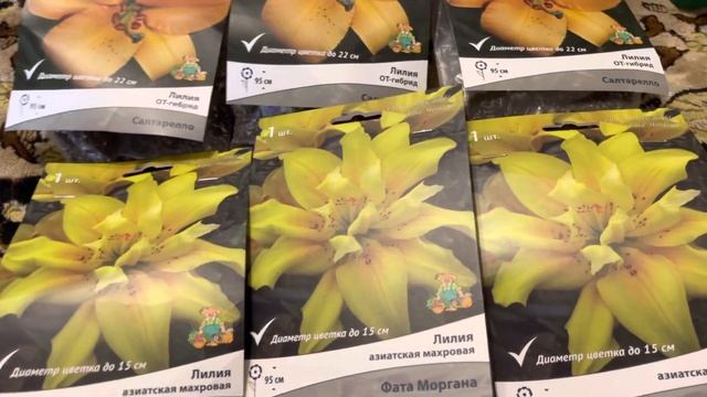 Лилии, хосты, удобрения! Ждём весну!❤️ смотреть онлайн