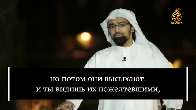 Коранические наставления 11 | Насыр аль-Катами смотреть онлайн