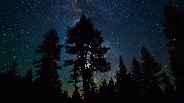 Звездное небо в лесу HD — Бесплатный футаж / Footage. смотреть онлайн