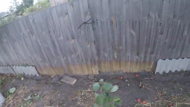 Как построить бетонный бассейн своими руками во двор смотреть онлайн