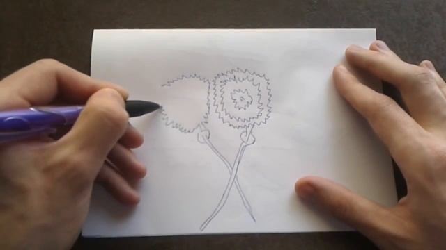Как поэтапно нарисовать ГВОЗДИКУ для начинающих и детей? How to DRAW Dianthus смотреть онлайн