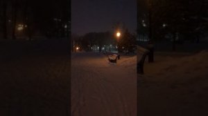 Прогулка в парке..mp4