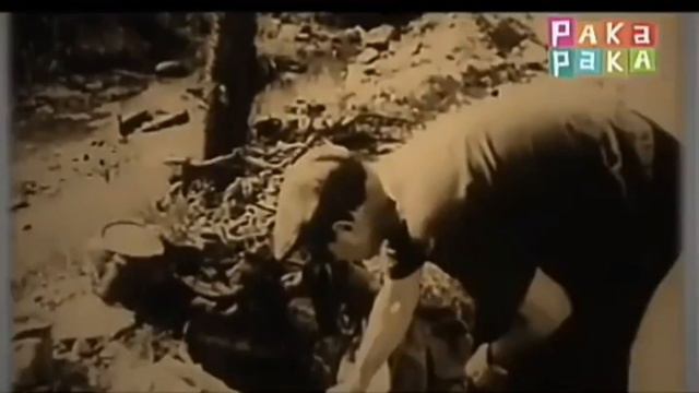 Breve biografía de Antonio Berni смотреть онлайн
