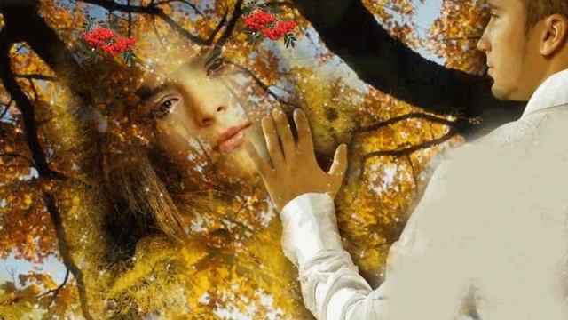 Тонкая рябина .Красивая песня .#дляпозитива#песняолюбви# смотреть онлайн