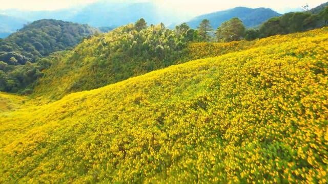 Soothe Your Soul: The Ultimate Relaxation with Musical Elixir - Heal the heart and soul смотреть онлайн