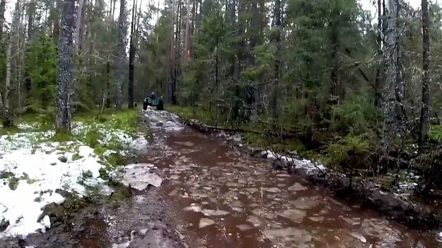 СКОРОСТНАЯ ЕЗДА ПО ЛЕСНОЙ ДОРОГЕ НА КАРАКАТЕ ВЕЗДЕХОДЕ // В ЯНВАРЕ БЕЗУМНОЙ ЗИМЫ 2020 ГОДА. смотреть онлайн