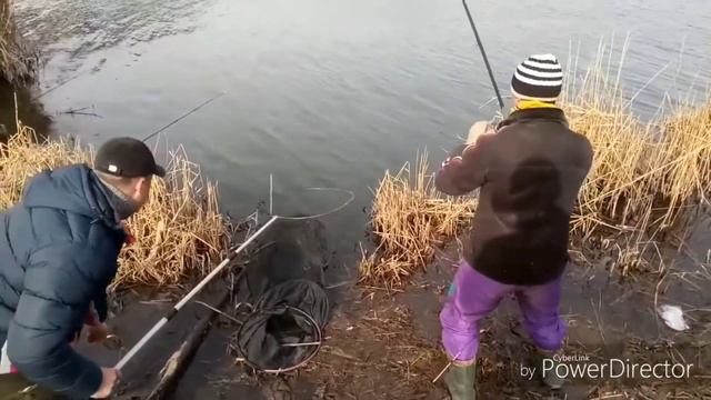 Весенний сазан фидером на реке. смотреть онлайн