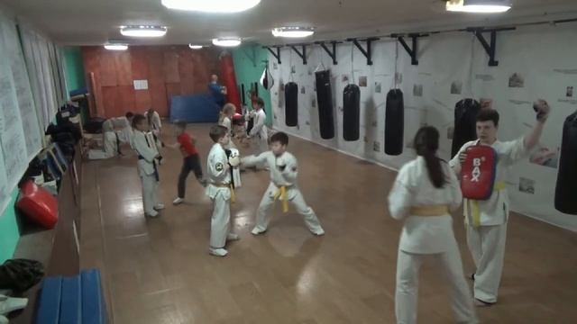 Тренировка 17 января 2020 года. Группа №3 Киокусинкай Каратэ Климовск смотреть онлайн