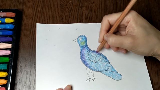 Голубь. Рисуем Голубь. смотреть онлайн