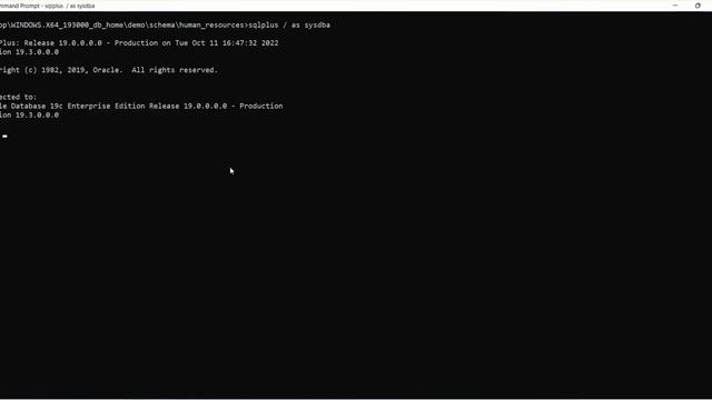 Installing Oracle 19c sample schemas смотреть онлайн