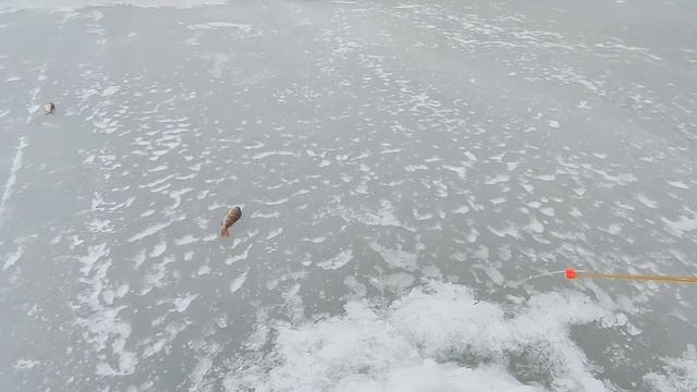 Рыбалка на озере Томской области. Дорога домой. смотреть онлайн