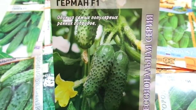 САМЫЕ УРОЖАЙНЫЕ ОГУРЦЫ С ПУЧКОВЫМИ ЗАВЯЗЯМИ ДЛЯ ПОЛУЧЕНИЯ РАННЕГО УРОЖАЯ. ГЕРМАН. Ольга Чернова. смотреть онлайн