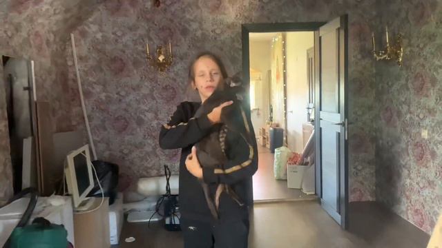 РОККИ ПРЕВРАТИЛСЯ В ХАГИ-ВАГИ 😱 Часть 2. смотреть онлайн