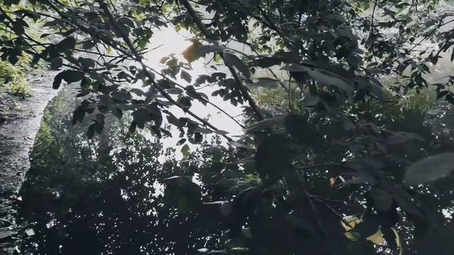 VID 20220709 213244 Перед судом 1915 (А. Блок)... Павел Васильев Лахтинский смотреть онлайн