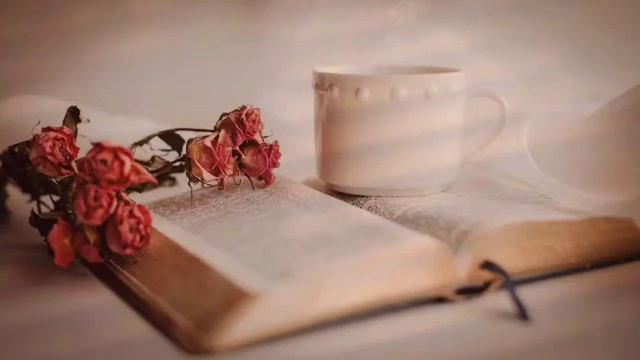 RELAXING MUSIC PIANO VIOLIN | WILL MAKE YOUR DAY WONDERFUL | SLEEP | STUDY | 12 hours | long video смотреть онлайн
