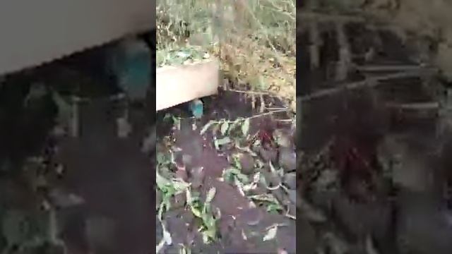 выкопочный плуг для ДТ-75 смотреть онлайн