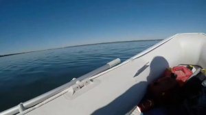 Обкатка четырёхтактного лодочного мотора MERCURY 3 5 HP