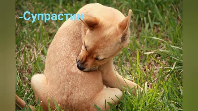 Мистическая энциклопедия