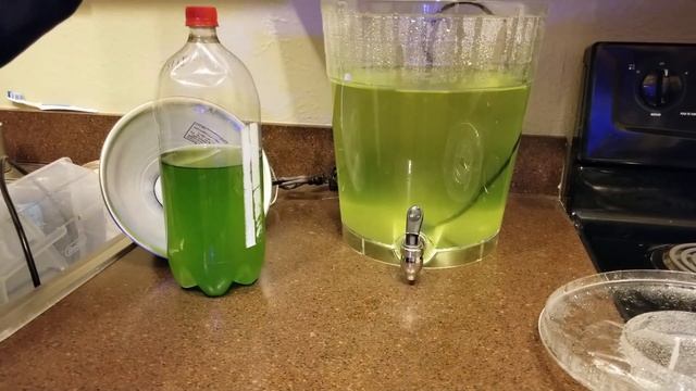 How to make Phytoplankton смотреть онлайн