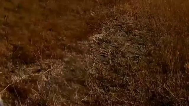 охота с подхода. мр155 смотреть онлайн