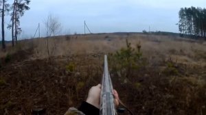 Лучшие моменты из охоты на зайца, лису, козу и куницу