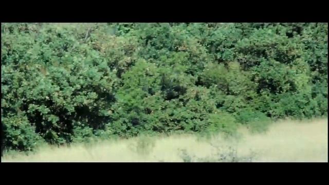 Bulgaria.Поход в горы Болгарии Стара Планина.(Святой Влас-Елените) смотреть онлайн