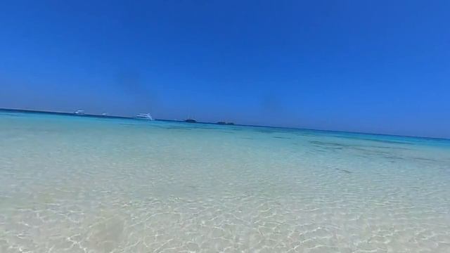 INSTA360: БЕЛЫЙ ОСТРОВ. КРАСНОЕ МОРЕ. ШАРМ-ЭЛЬ-ШЕЙХ. ЕГИПЕТ 🇪🇬 смотреть онлайн