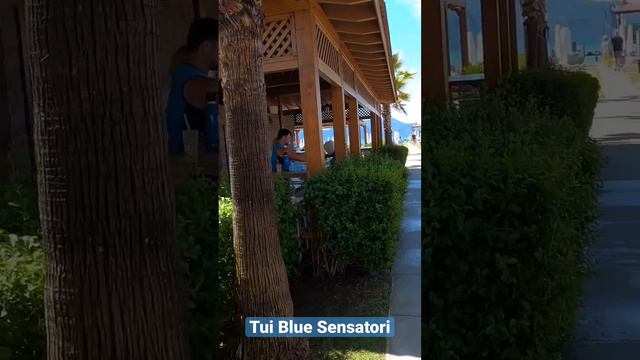 Amazing All Inclusive Resorts Turkey 🇹🇷 Tui Blue Sensatori Fethiye #wow смотреть онлайн