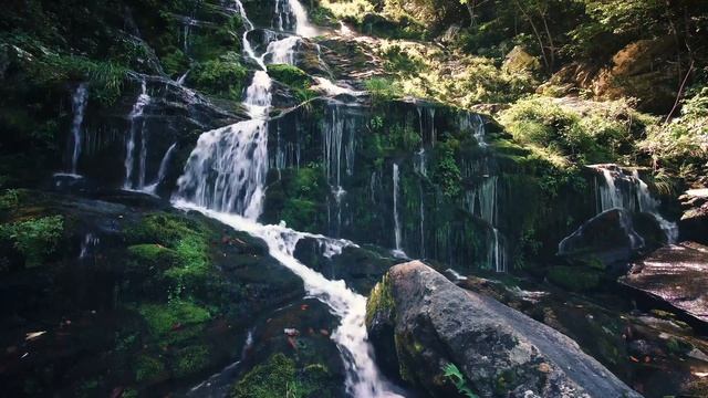 ??Успокаивающие звуки лесного водопада | Звуки природы | Расслабление, медитация, учеба смотреть онлайн