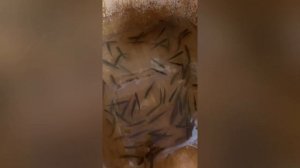 Выращивание форели в евро кубах, до каких размеров можно вырастить Форель в еврокубе