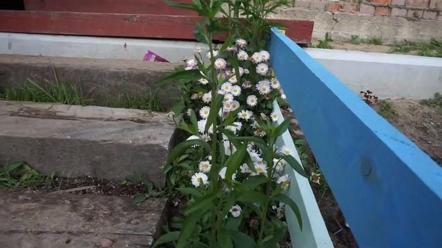 Прудик, цветы и площадка из камня смотреть онлайн