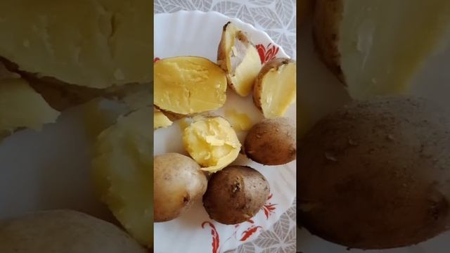 Картофель семенной.Купили два сорта.КОЛОМБО и ГАЛА.Пробуем на ВКУС. смотреть онлайн