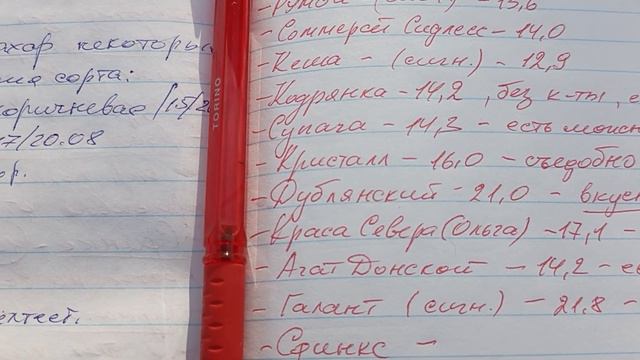 Соколянский виноград. смотреть онлайн