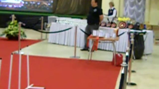 Национальная выставка вльш-корги 2010. Ребенок и Собака-1 смотреть онлайн