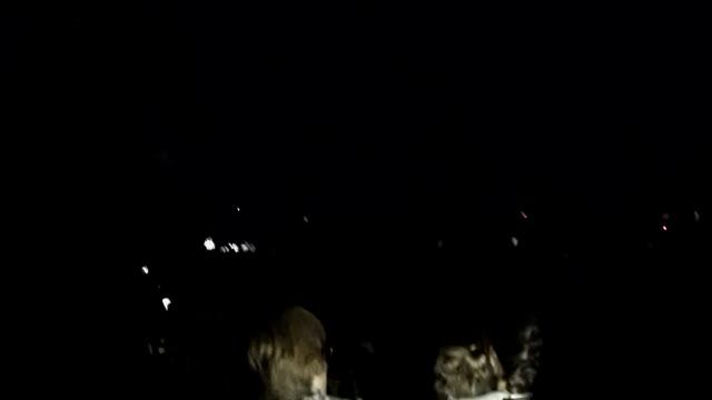 в цирке отключили свет . Октябрьский смотреть онлайн