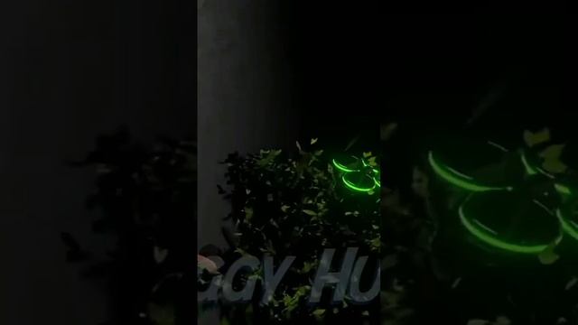 гартен оф банбан 4 гусь и шериф тостер финал банбан 4 часть 80? смотреть онлайн
