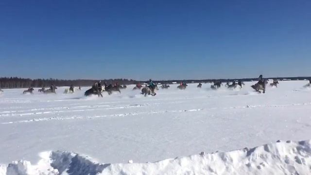 Старт зимних скачек на 60 км смотреть онлайн